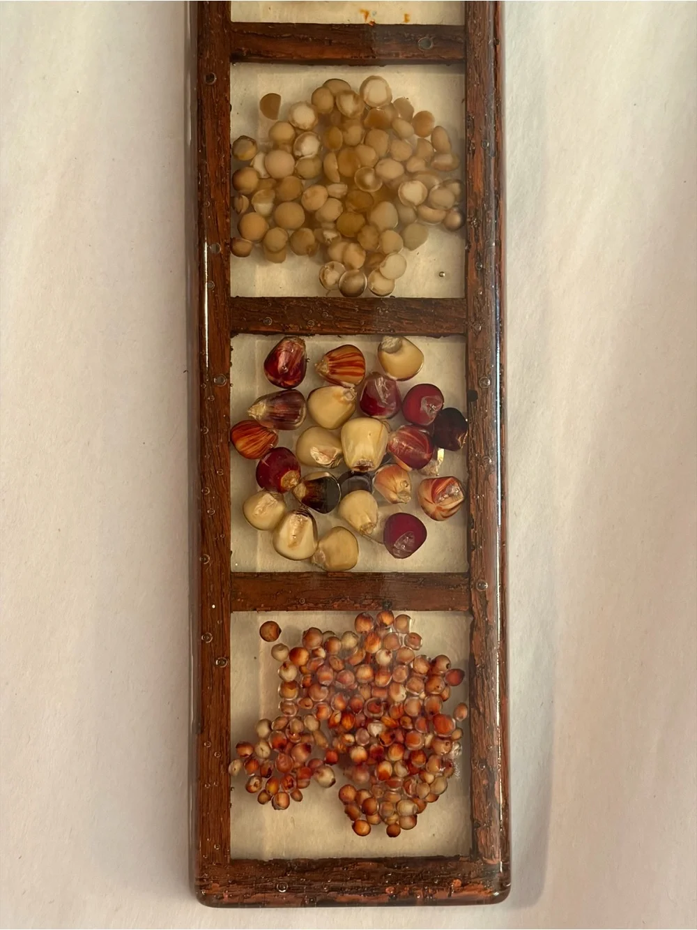 Vintage Gamut Designs Hanging Lucite, Wood & Natural Seed Display 13 1/8” Retro